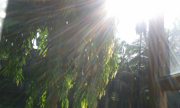 Hello winter sunshine!
