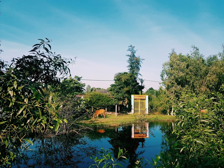 đồng quê
