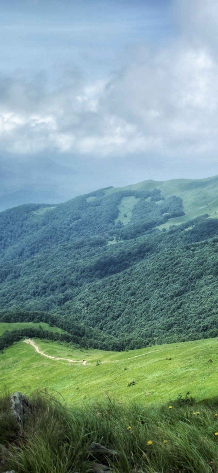paisaje