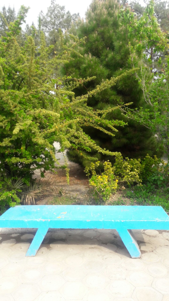 PARK