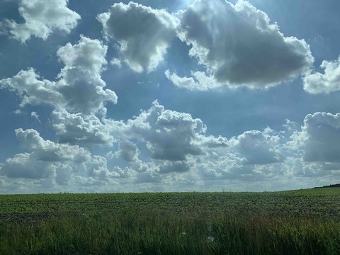 Clouds over crops