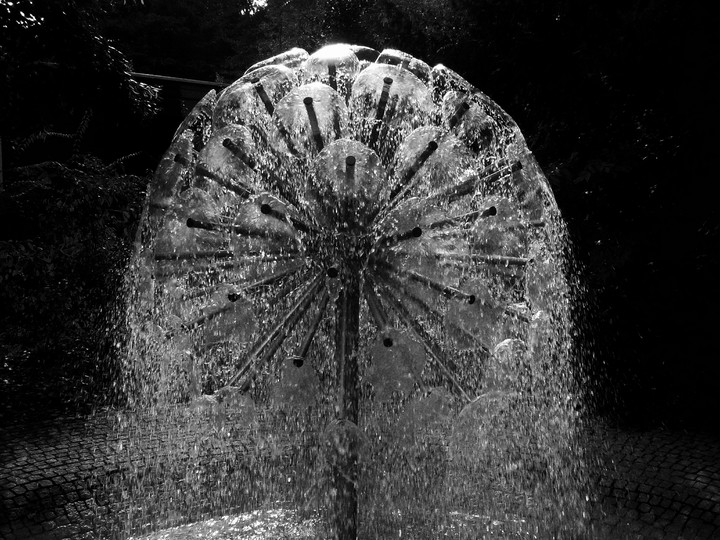 Dandelion Fountain