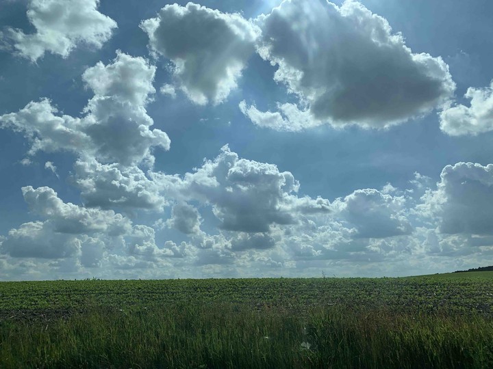 Clouds over crops
