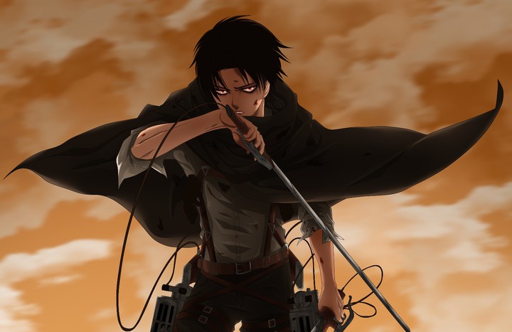 levi