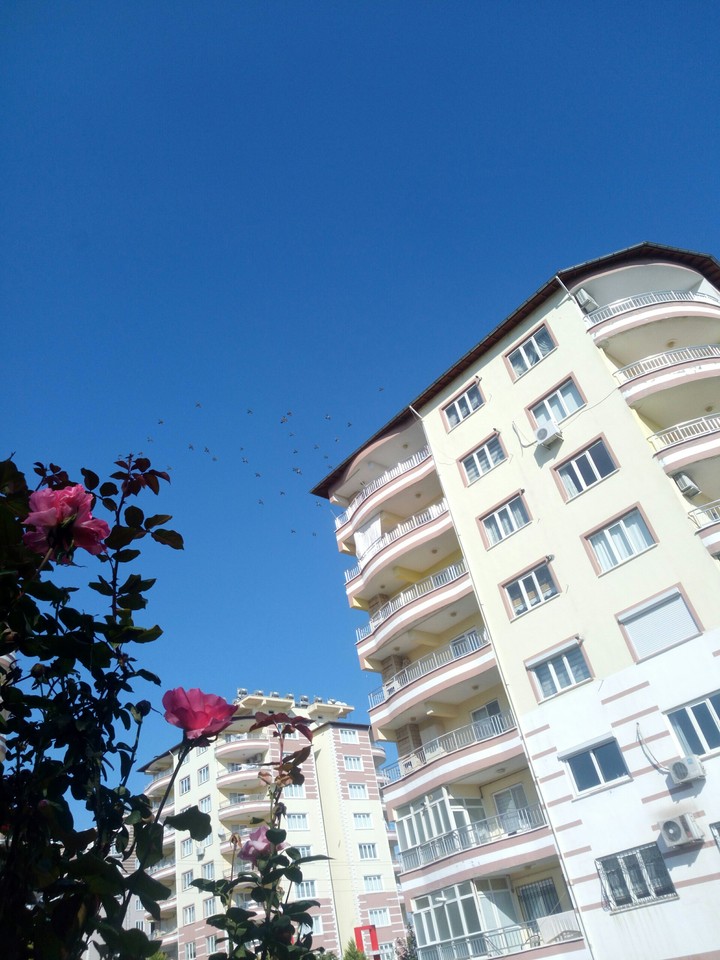 muhteşem