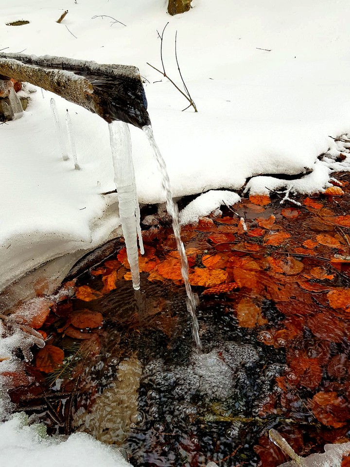 icicles
