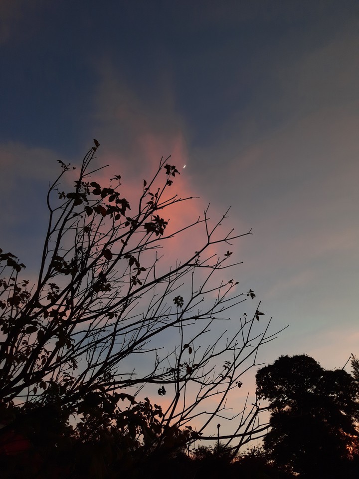 Twilight