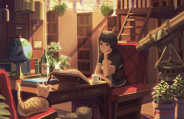 Anime ~