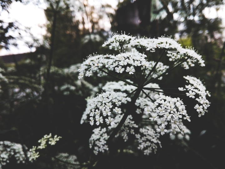 Simplicity and beauty