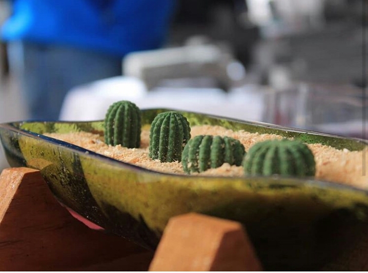 Cactus