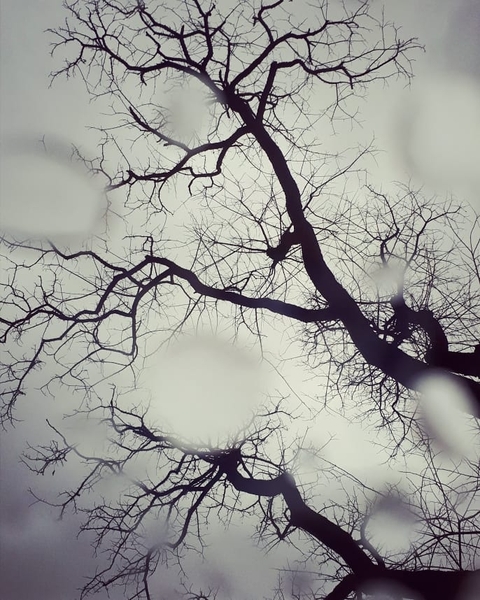 freezing, rain háttérképek