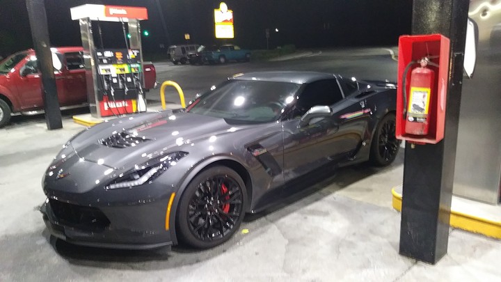 grey ghost