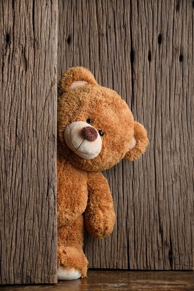 Teddy bear