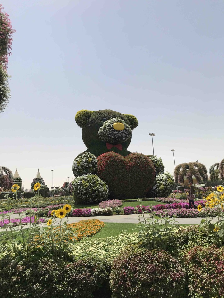 flower teddy