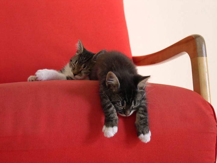 Tired)