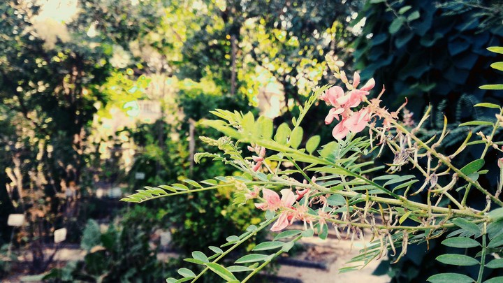 nature#2