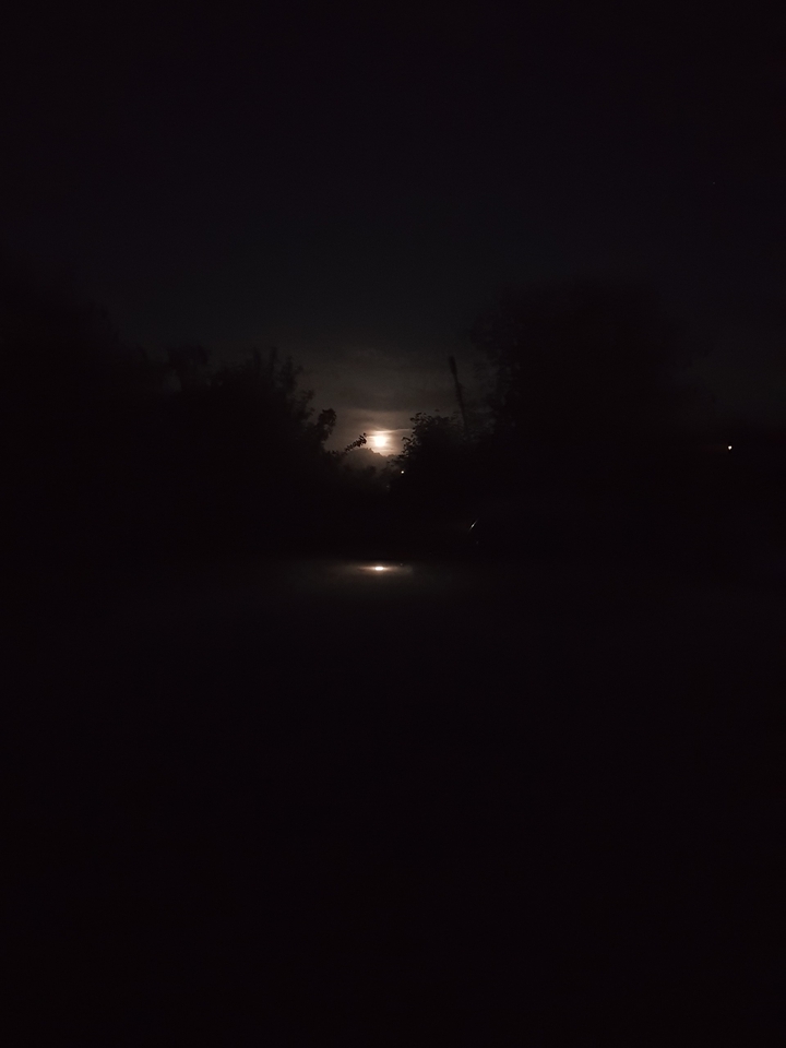 night