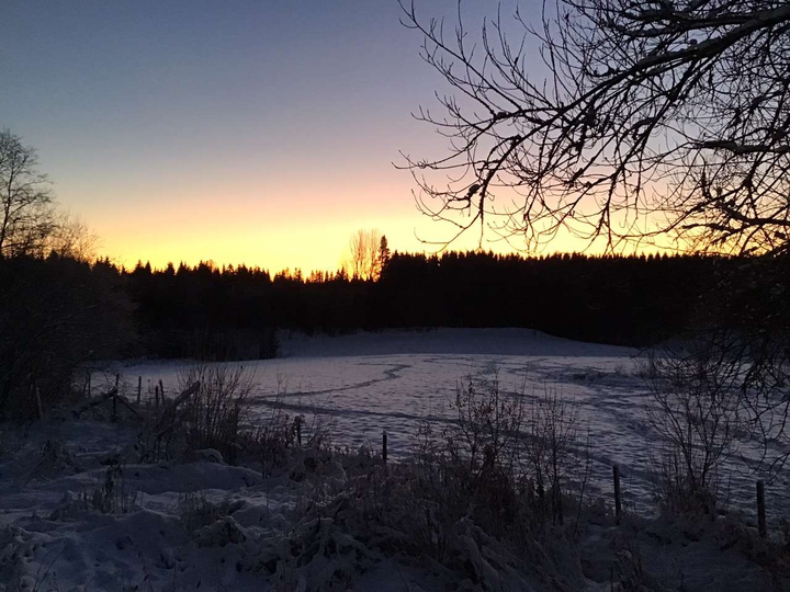 Winter