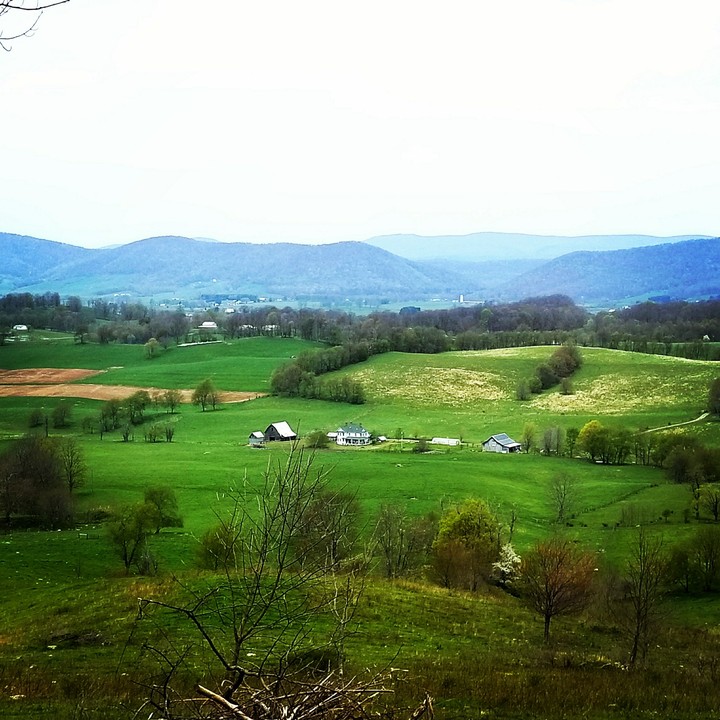 Peaceful