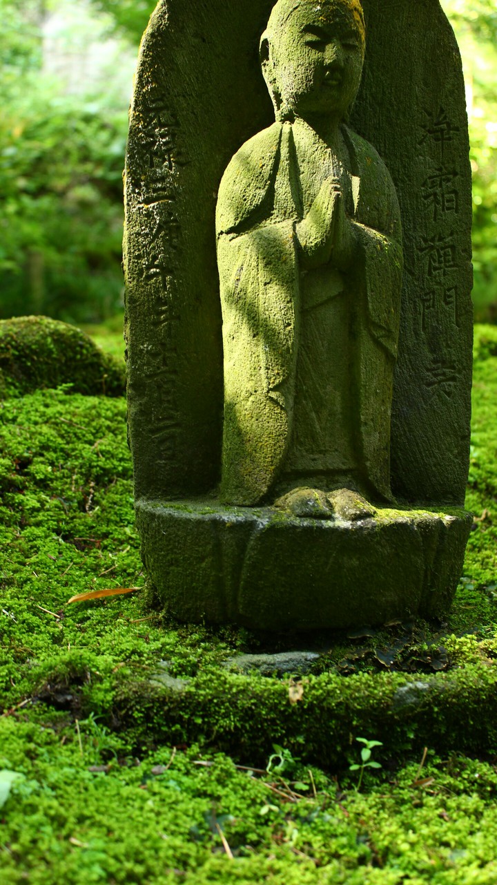 buddha