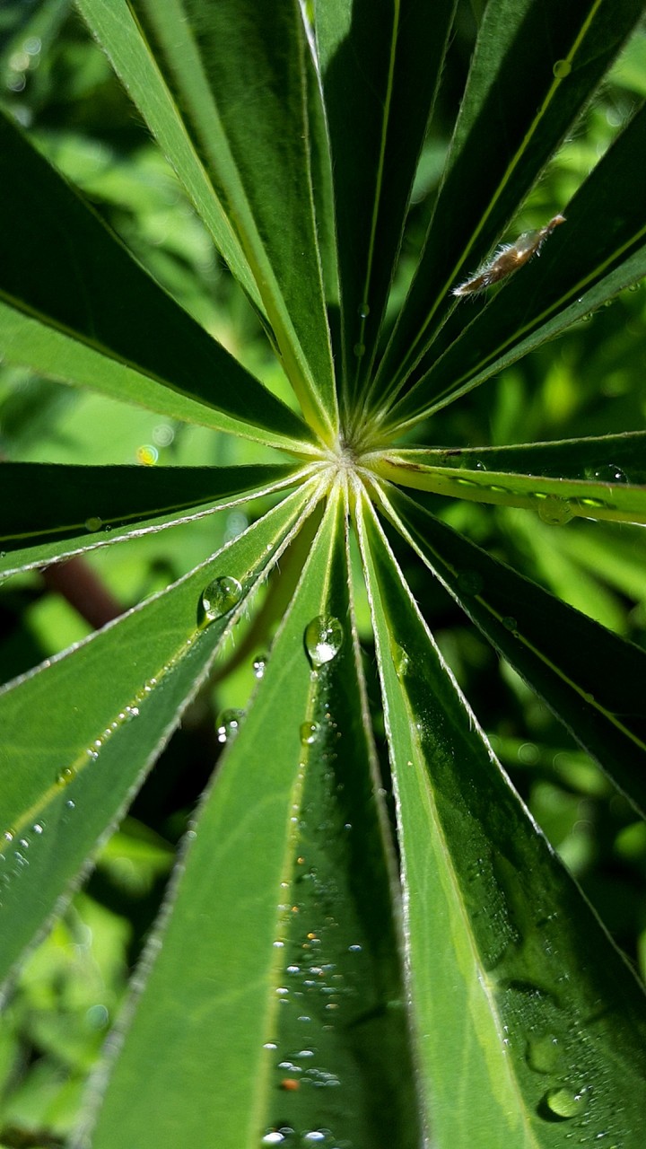 water droplets