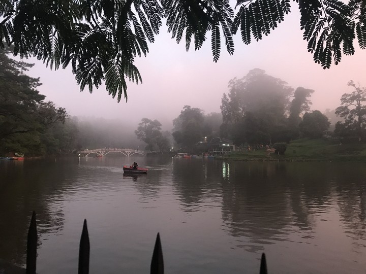 Ward’s Lake, Shillong