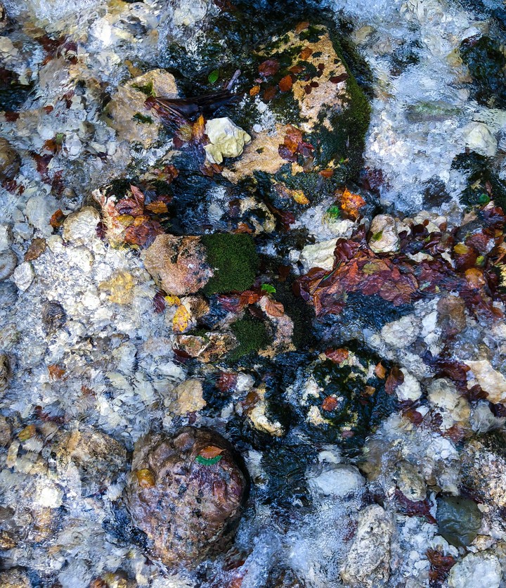 summer river