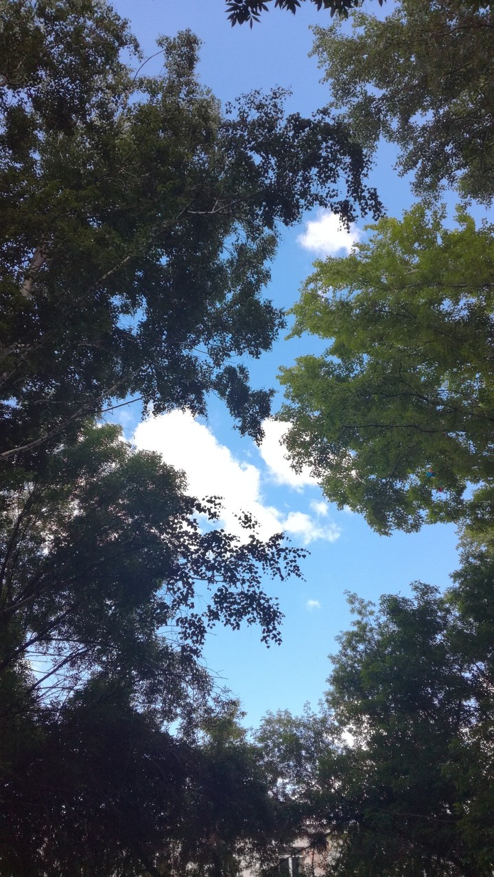 nature