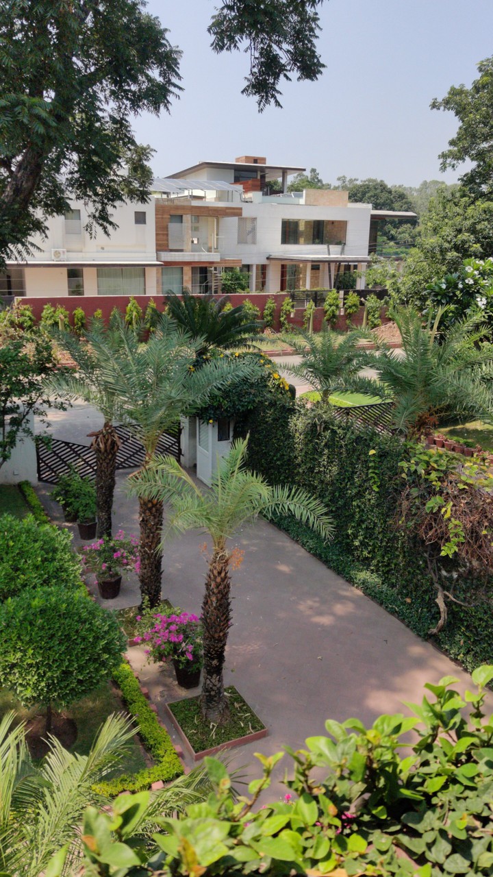 Greenery ?