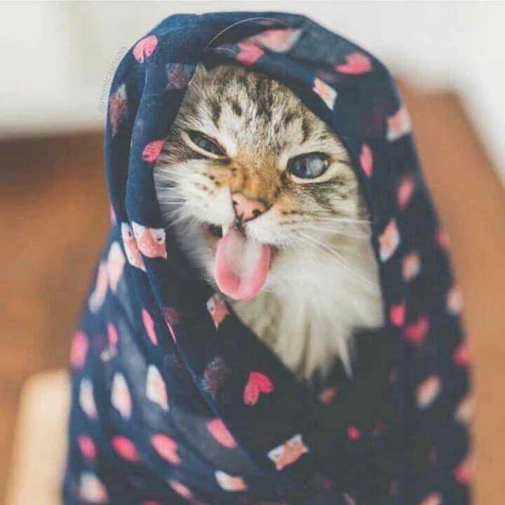 cute