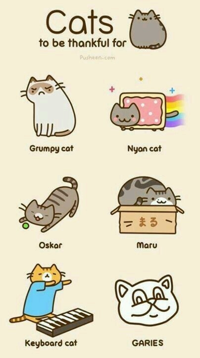 cats