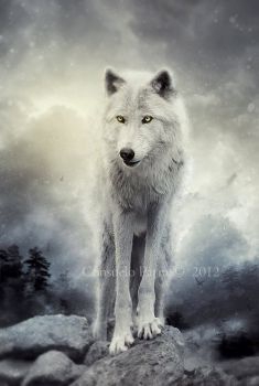 white  wolf