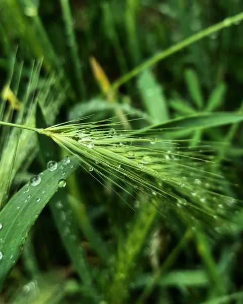 Drops...