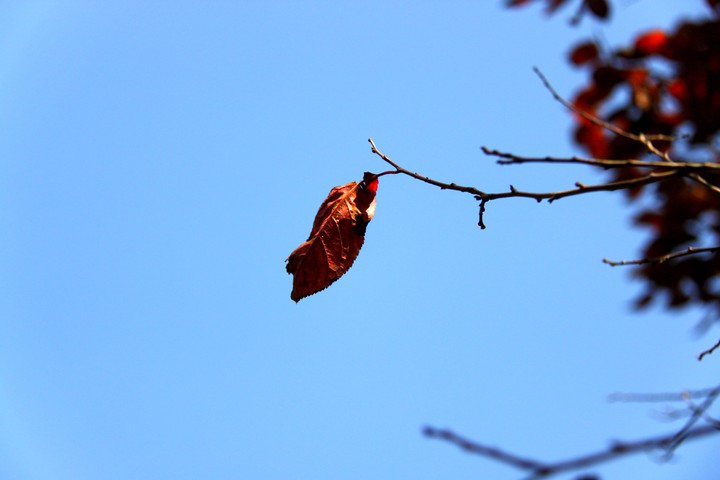 blue