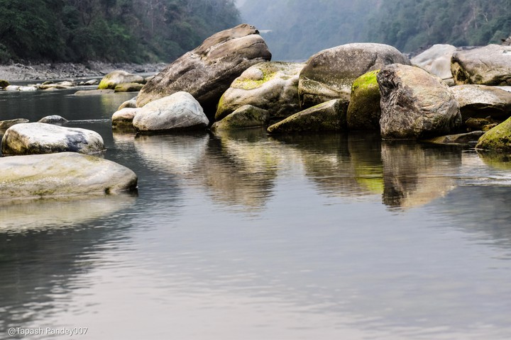 Silence.. Like Nature..❤️