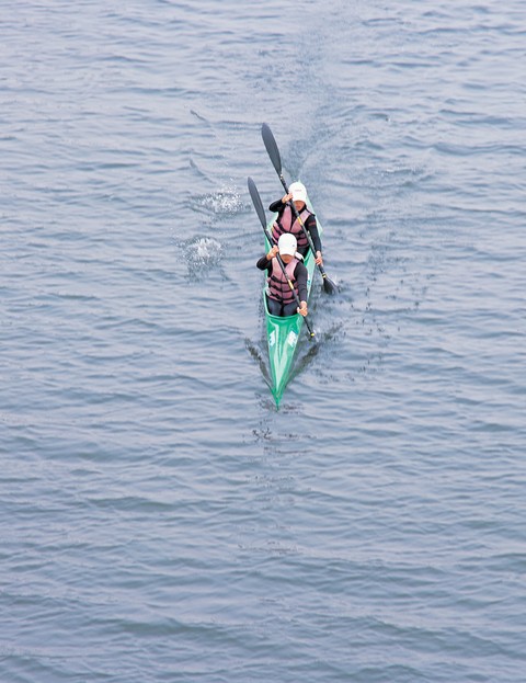 Sport