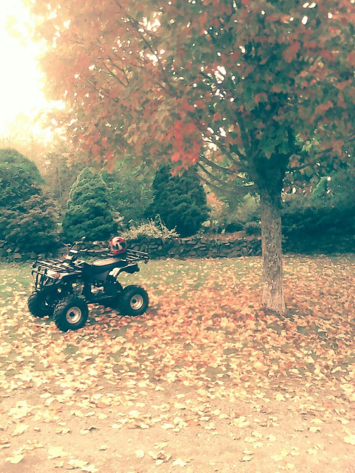Four-wheeler in the Autumn