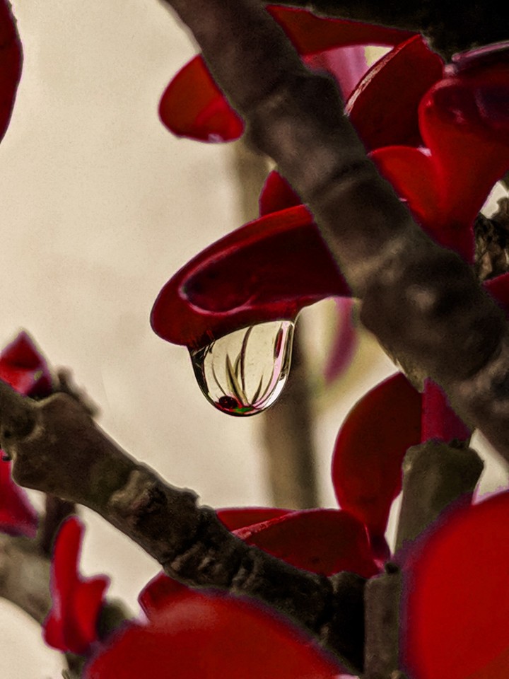 a drop of hope