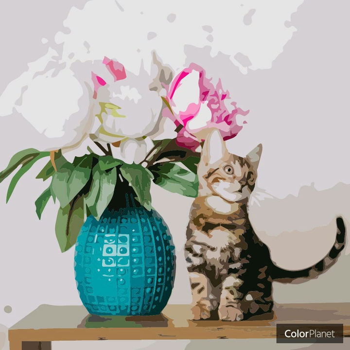 котики муркотики