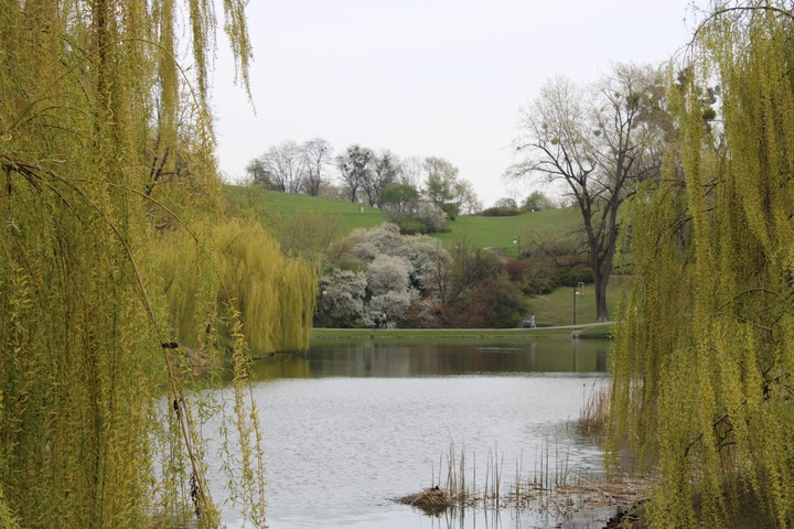 Park