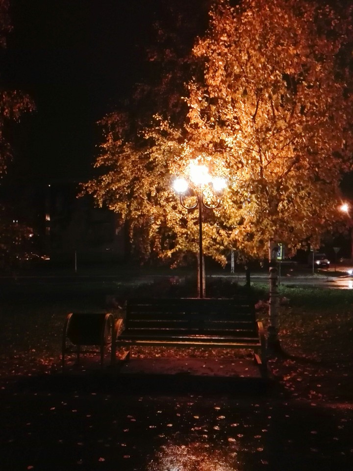 Свет осенних фонарей/ The light of autumn lamps