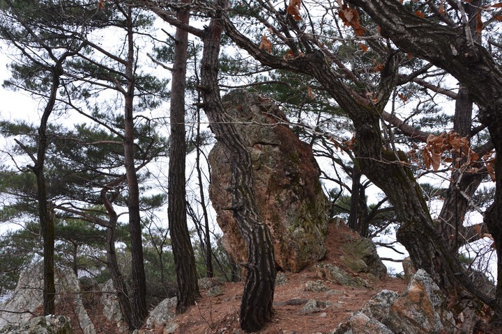 풍경이미지