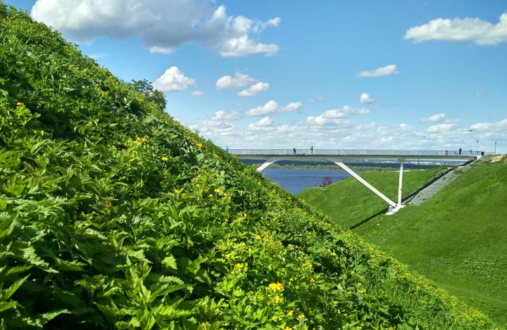 city greenery