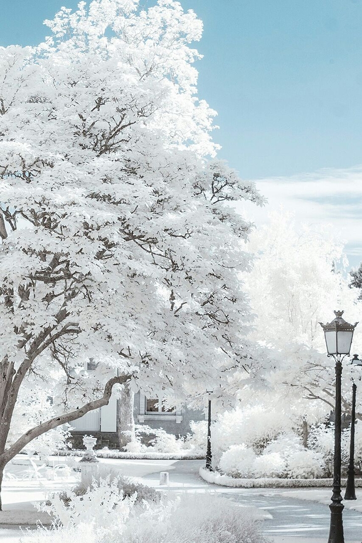 snow