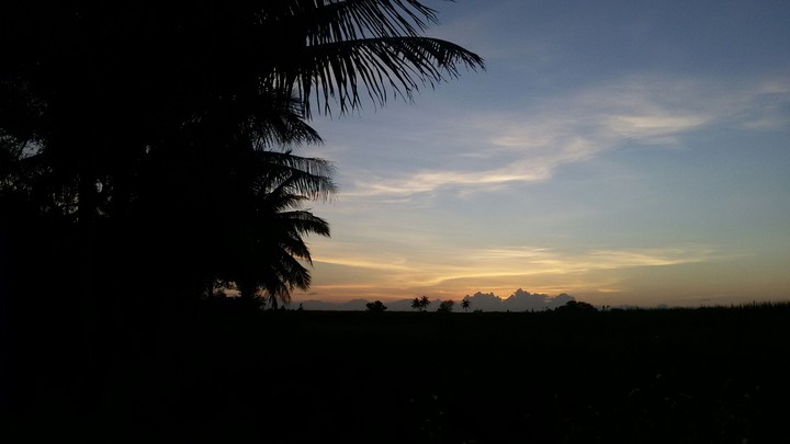 sunset