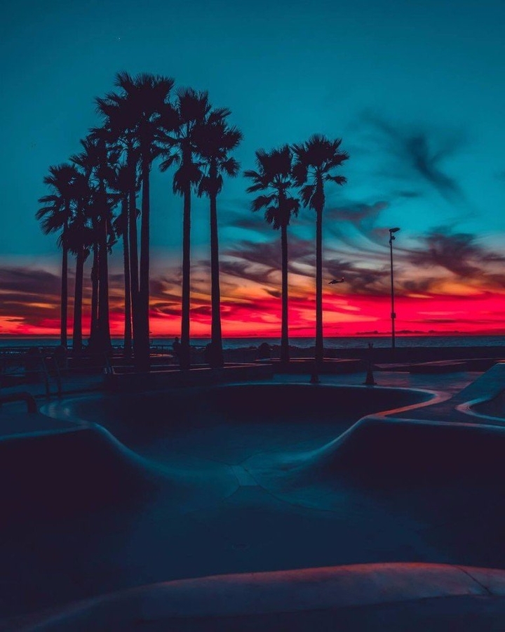 Night