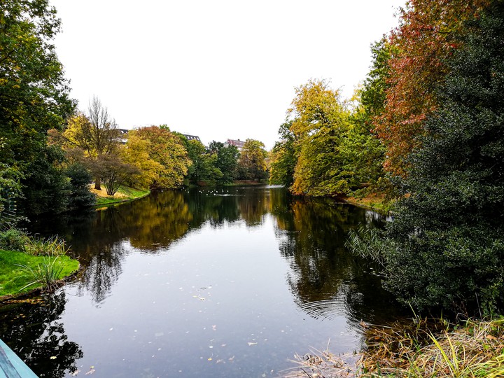 autumn colors