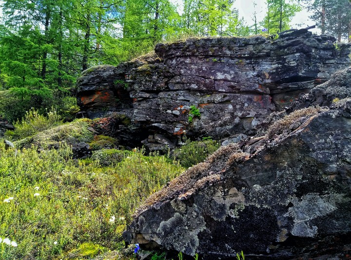 Nature