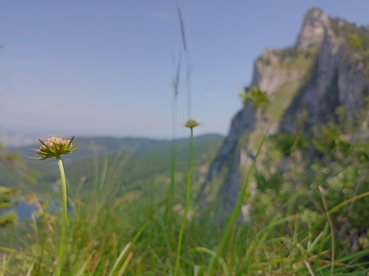 Austria