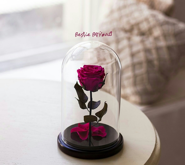 rose red